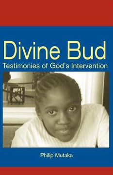 portada divine bud: testimonies of god's intervention (en Inglés)