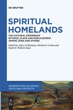 portada Spiritual Homelands: The Cultural Experience of Exile, Place and Displacement Among Jews and Others (en Inglés)