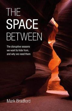 portada The Space Between: The Disruptive Seasons we Want to Hide From, and why we Need Them (en Inglés)