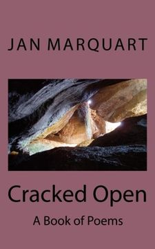 portada Cracked Open: A Book of Poems