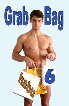 portada Grab Bag 6: A Gay Erotica Anthology (en Inglés)