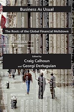 portada Business as Usual: The Roots of the Global Financial Meltdown (Possible Futures) (in English)