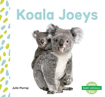 portada Koala Joeys (Baby Animals)