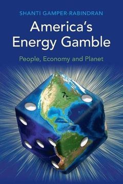 portada America'S Energy Gamble: People, Economy and Planet 