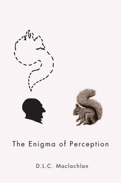 portada the enigma of perception (en Inglés)