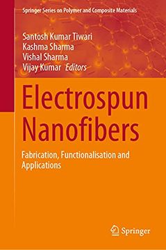 portada Electrospun Nanofibers: Fabrication, Functionalisation and Applications (in English)