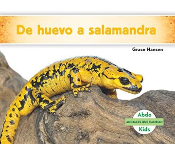 portada De huevo a salamandra / Becoming a Salamander (Animales que cambian / Changing Animals) (Spanish Edition)