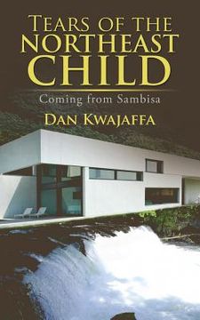 portada Tears of the Northeast Child: Coming from Sambisa (en Inglés)