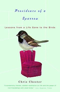 portada Providence of a Sparrow: Lessons From a Life Gone to the Birds 