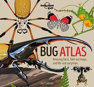 portada Bug Atlas (Lonely Planet Kids) (in English)