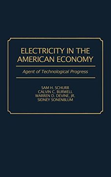 portada Electricity in the American Economy: Agent of Technological Progress (in English)