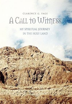 portada a call to witness (in English)