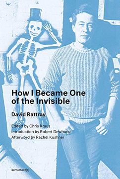 portada How i Became one of the Invisible (Semiotext(E) 