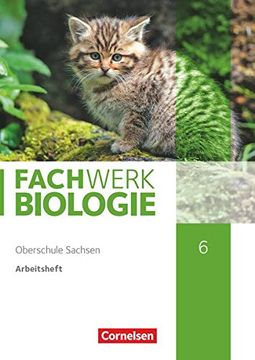 portada Fachwerk Biologie 6. Schuljahr - Sachsen - Arbeitsheft (in German)