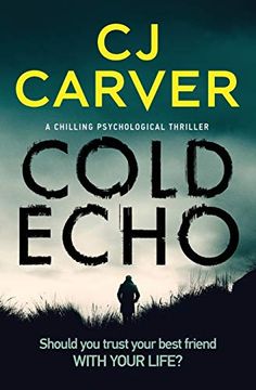 portada Cold Echo: A Chilling Psychological Thriller (Harry Hope) (en Inglés)