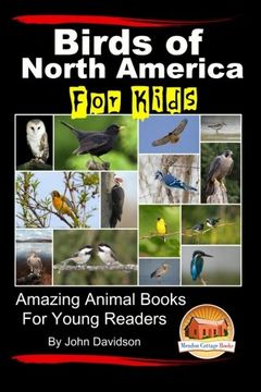portada Birds of North America For Kids - Amazing Animal Books for Young Readers