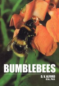 portada bumble bees (en Inglés)