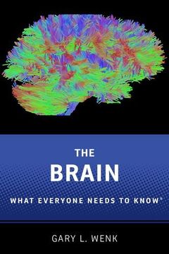 portada The Brain: What Everyone Needs to Know® (en Inglés)