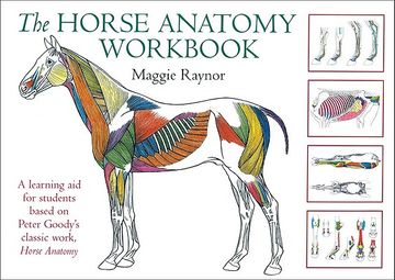portada The Horse Anatomy Workbook: A Learning aid for Students Based on Peter Goody's Classic Work, Horse Anatomy (Allen Student) 