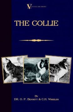 portada the collie (in English)