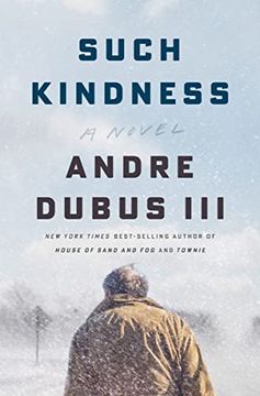 portada Such Kindness: A Novel (in English)