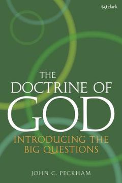 portada The Doctrine of God: Introducing the Big Questions (en Inglés)