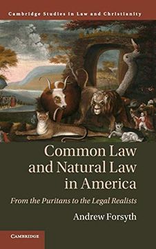 portada Common law and Natural law in America (Law and Christianity) (en Inglés)