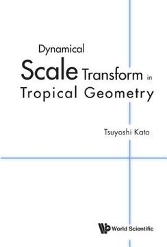 portada Dynamical Scale Transform in Tropical Geometry (en Inglés)