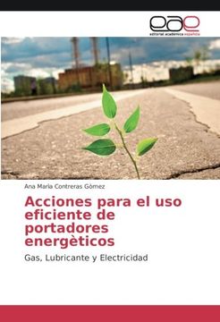 portada Acciones para el uso eficiente de portadores energèticos: Gas, Lubricante y Electricidad (Spanish Edition)