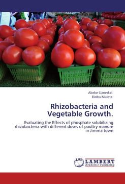 portada Rhizobacteria and Vegetable Growth.: Evaluating the Effects of phosphate solubilizing rhizobacteria with different doses of poultry manure in Jimma town