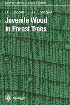 portada juvenile wood in forest trees (en Inglés)