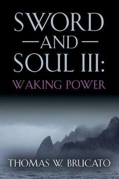 portada SWORD AND SOUL III: WAKING POWER