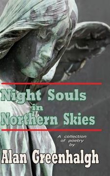 portada Night Souls in Northern Skies (en Inglés)