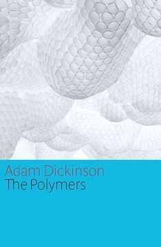 portada The Polymers (en Inglés)