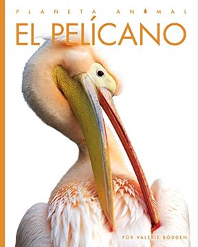 portada El Pelícano (Planeta Animal) (en Inglés)