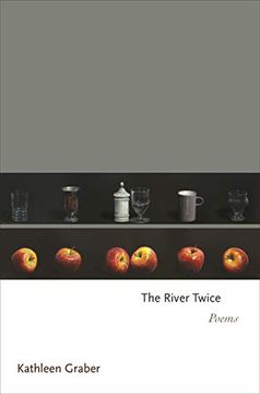 portada The River Twice: Poems (Princeton Series of Contemporary Poets) 