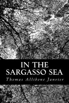 portada In the Sargasso Sea (en Inglés)