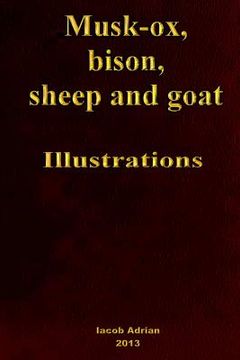 portada Musk-ox, bison, sheep and goat Illustrations (en Inglés)