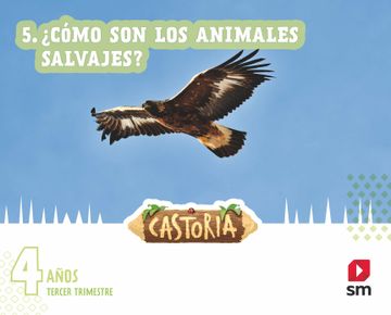 portada Castoria 4 Años Tercer Trimestre Proyecto Castoria Cast ed 2022 (in Spanish)