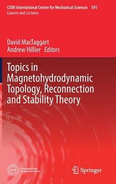 portada Topics in Magnetohydrodynamic Topology, Reconnection and Stability Theory (en Inglés)