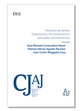 portada Tribunales de Familia: organización, funcionamiento y principales procedimientos