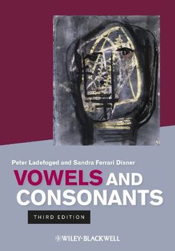 portada Vowels and Consonants (in English)