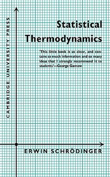 portada Statistical Thermodynamics: A Course of Seminar Lectures 