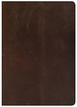 portada CSB She Reads Truth Bible, Brown Genuine Leather