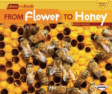 portada from flower to honey (in English)