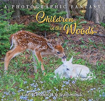portada Children in the Woods (a Photographic Fantasy) (en Inglés)
