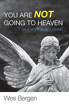 portada You are not Going to Heaven (And why it Doesn't Matter) (en Inglés)