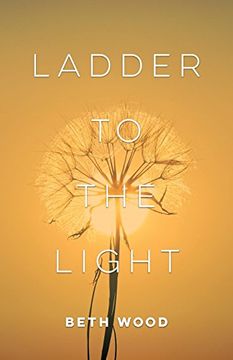 portada Ladder to the Light (en Inglés)