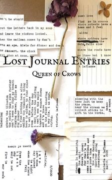 portada Lost Journal Entries (en Inglés)