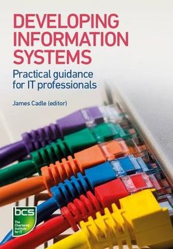 portada Developing Information Systems: Practical Guidance for It Professionals